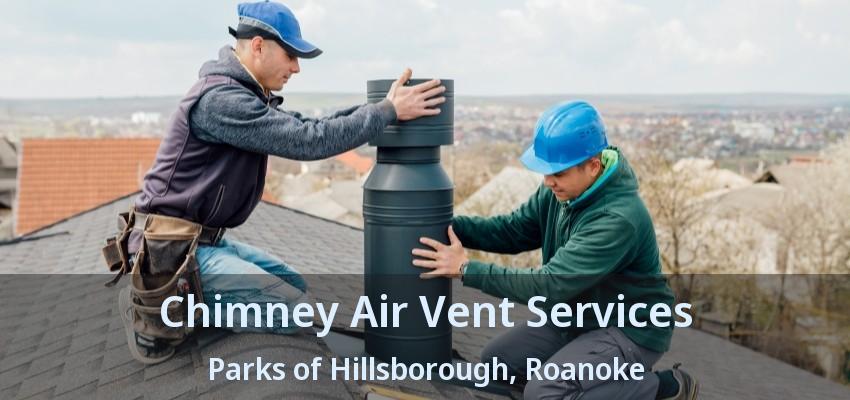 Chimney Air Vent Services Parks of Hillsborough, Roanoke - TX