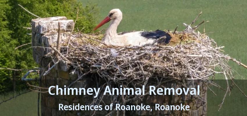 Chimney Animal Removal Residences of Roanoke, Roanoke - TX