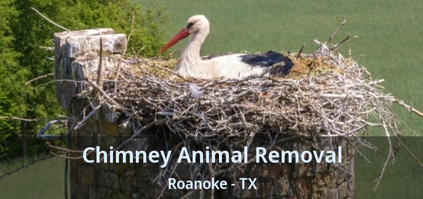 Chimney Animal Removal Roanoke - TX