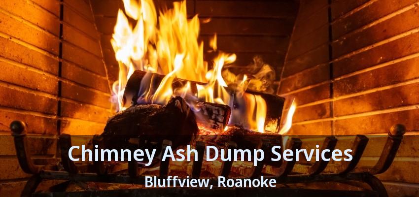 Chimney Ash Dump Services Bluffview, Roanoke - TX