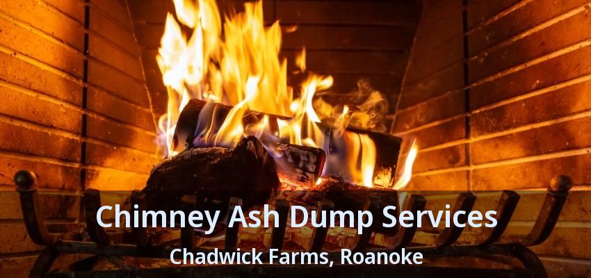 Chimney Ash Dump Services Chadwick Farms, Roanoke - TX