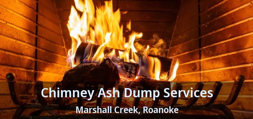 Chimney Ash Dump Services Marshall Creek, Roanoke - TX