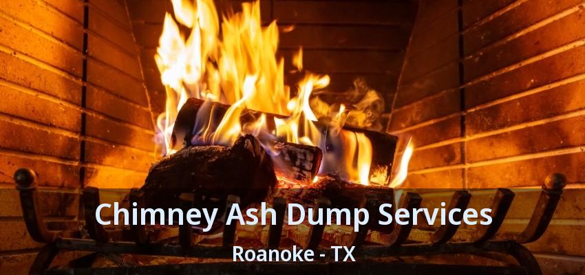 Chimney Ash Dump Services Roanoke - TX