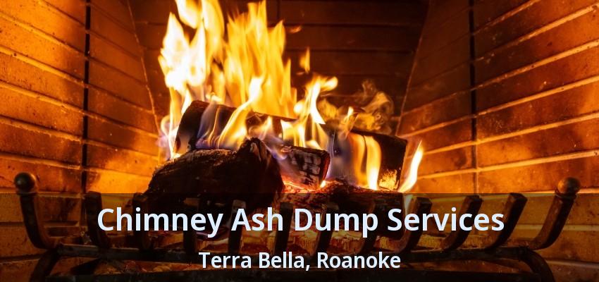 Chimney Ash Dump Services Terra Bella, Roanoke - TX