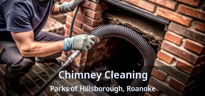 Chimney Cleaning Parks of Hillsborough, Roanoke - TX