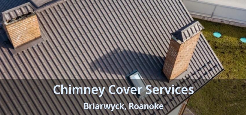 Chimney Cover Services Briarwyck, Roanoke - TX