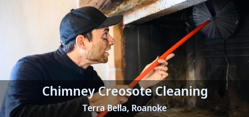 Chimney Creosote Cleaning Terra Bella, Roanoke - TX