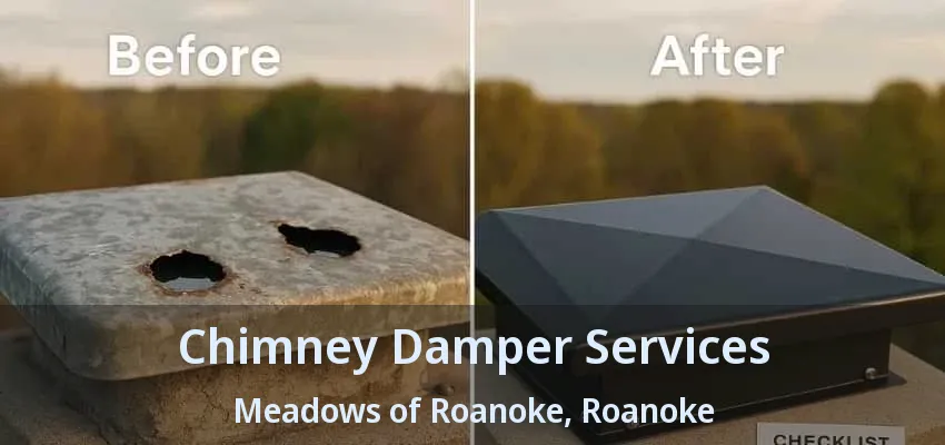Chimney Damper Services Meadows of Roanoke, Roanoke - TX
