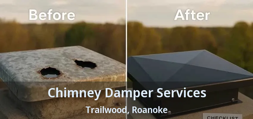 Chimney Damper Services Trailwood, Roanoke - TX