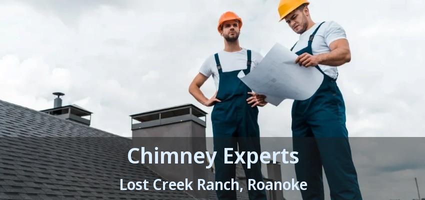 Chimney Experts Lost Creek Ranch, Roanoke - TX