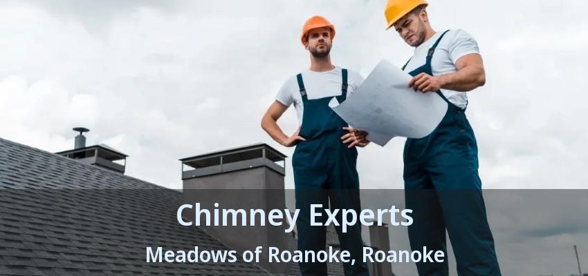 Chimney Experts Meadows of Roanoke, Roanoke - TX