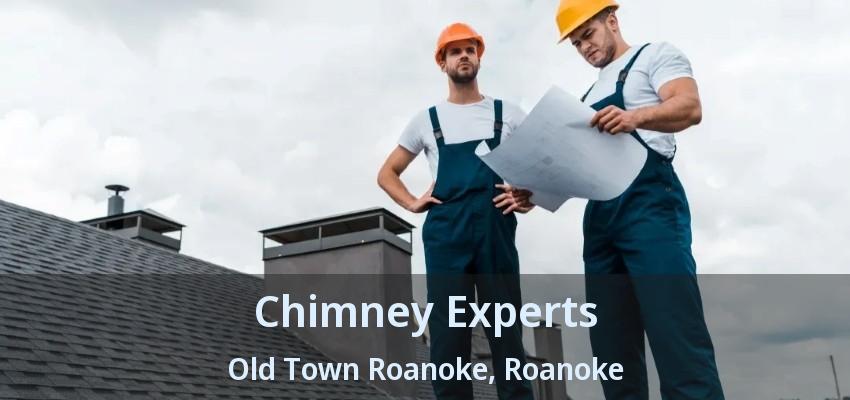 Chimney Experts Old Town Roanoke, Roanoke - TX