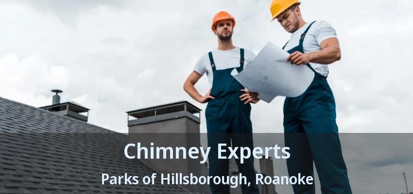 Chimney Experts Parks of Hillsborough, Roanoke - TX
