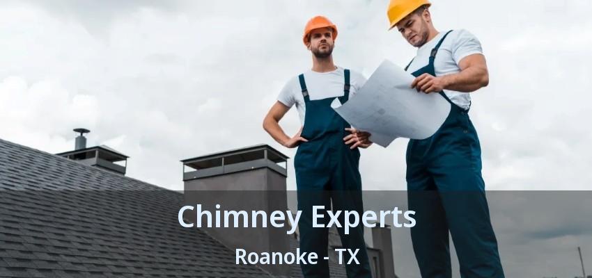 Chimney Experts Roanoke - TX