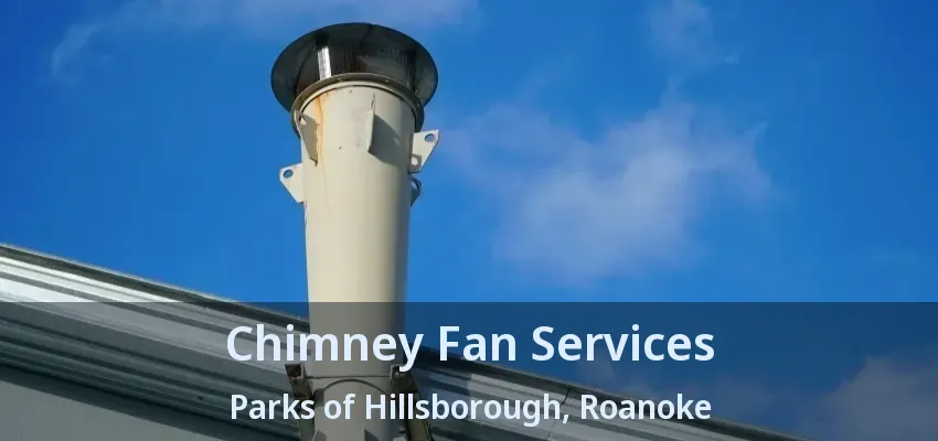 Chimney Fan Services Parks of Hillsborough, Roanoke - TX