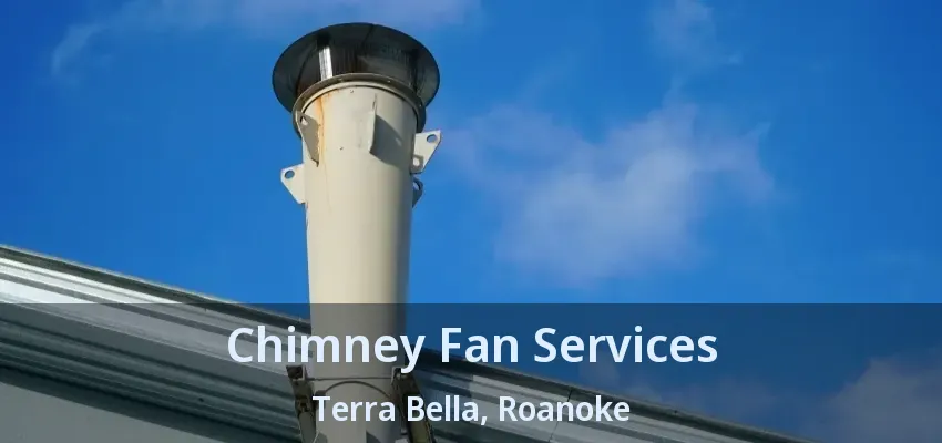 Chimney Fan Services Terra Bella, Roanoke - TX