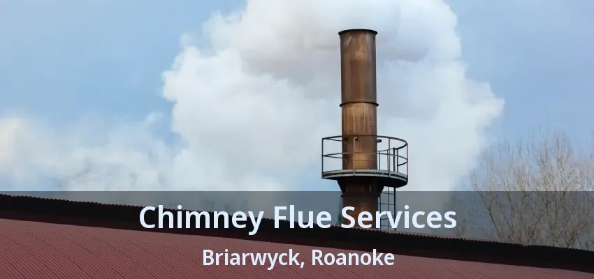 Chimney Flue Services Briarwyck, Roanoke - TX