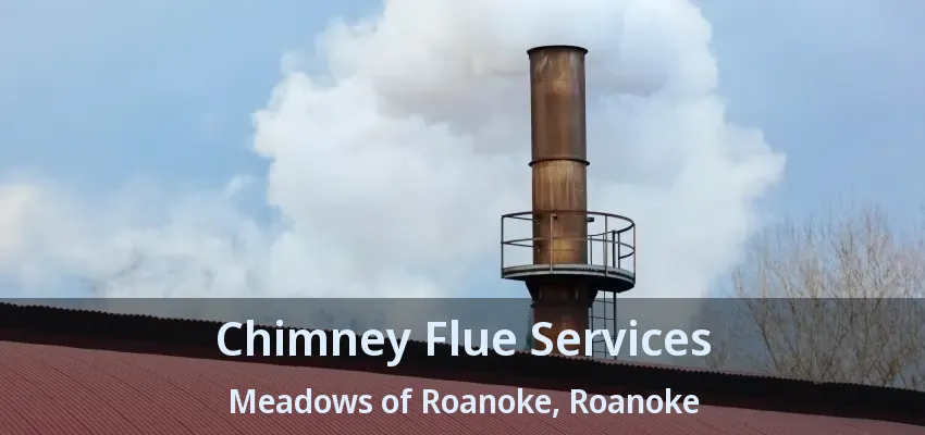 Chimney Flue Services Meadows of Roanoke, Roanoke - TX