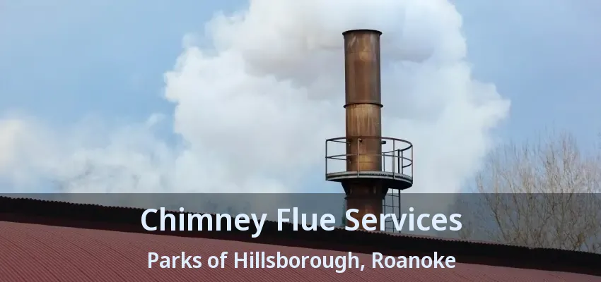 Chimney Flue Services Parks of Hillsborough, Roanoke - TX