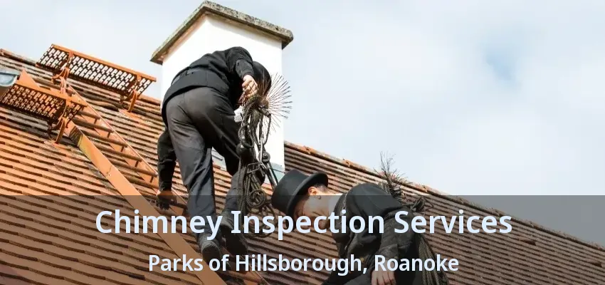 Chimney Inspection Services Parks of Hillsborough, Roanoke - TX