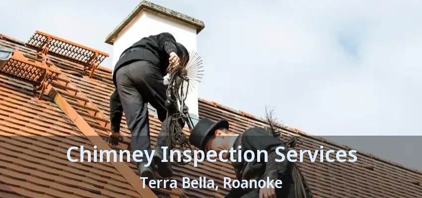 Chimney Inspection Services Terra Bella, Roanoke - TX