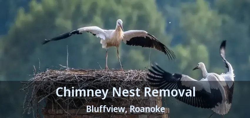 Chimney Nest Removal Bluffview, Roanoke - TX