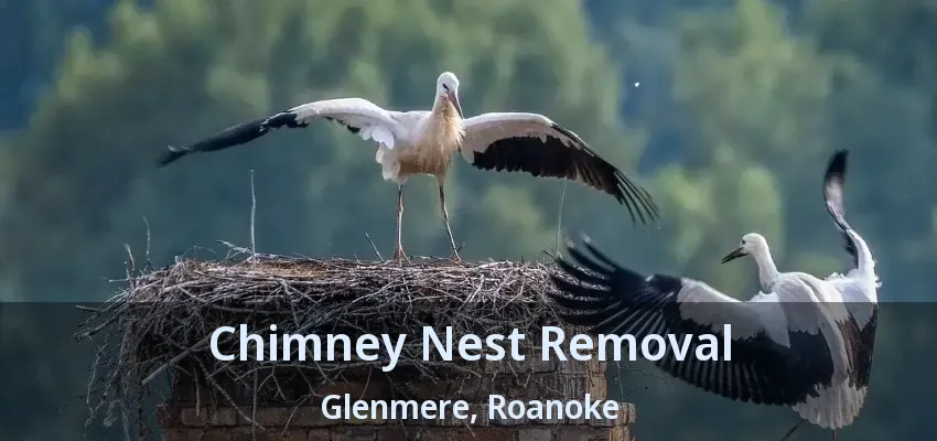 Chimney Nest Removal Glenmere, Roanoke - TX