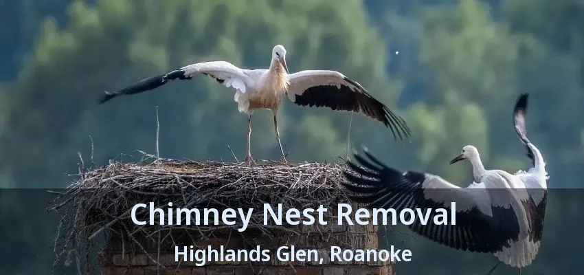 Chimney Nest Removal Highlands Glen, Roanoke - TX