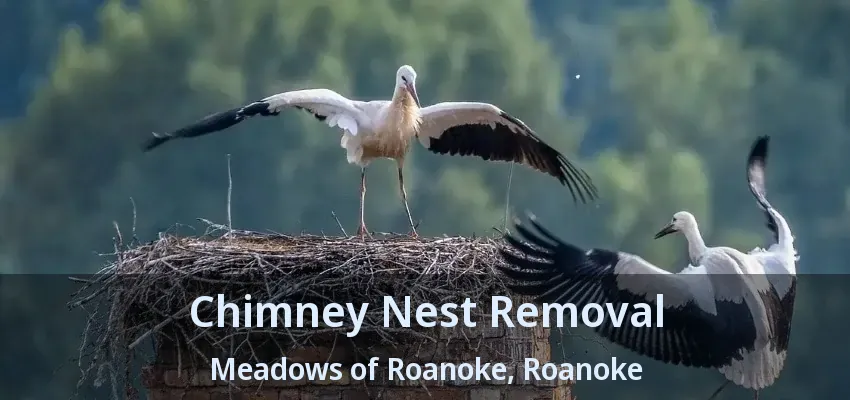 Chimney Nest Removal Meadows of Roanoke, Roanoke - TX