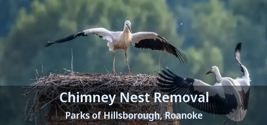 Chimney Nest Removal Parks of Hillsborough, Roanoke - TX