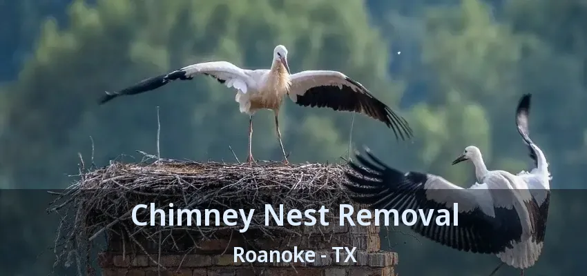 Chimney Nest Removal Roanoke - TX