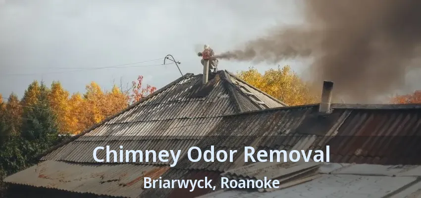 Chimney Odor Removal Briarwyck, Roanoke - TX