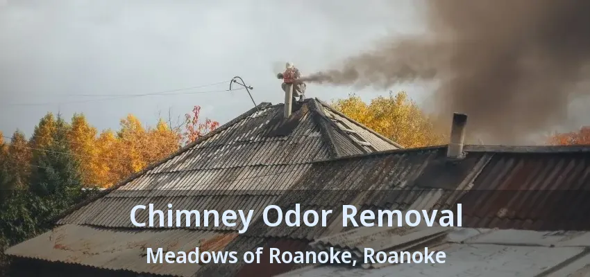 Chimney Odor Removal Meadows of Roanoke, Roanoke - TX