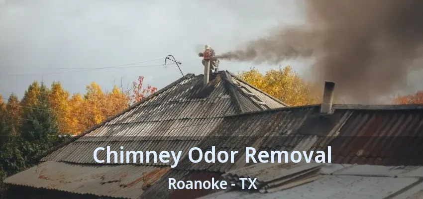 Chimney Odor Removal Roanoke - TX
