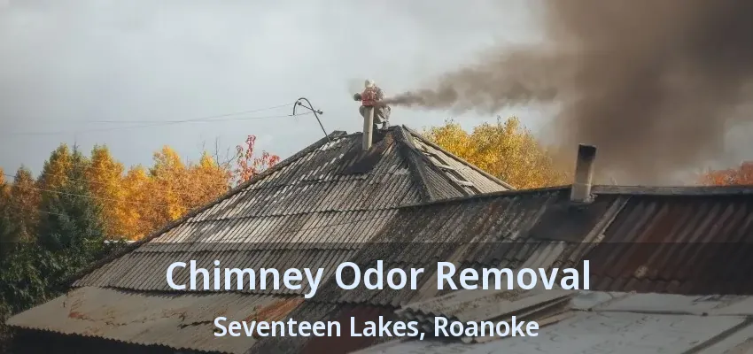 Chimney Odor Removal Seventeen Lakes, Roanoke - TX