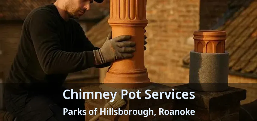 Chimney Pot Services Parks of Hillsborough, Roanoke - TX