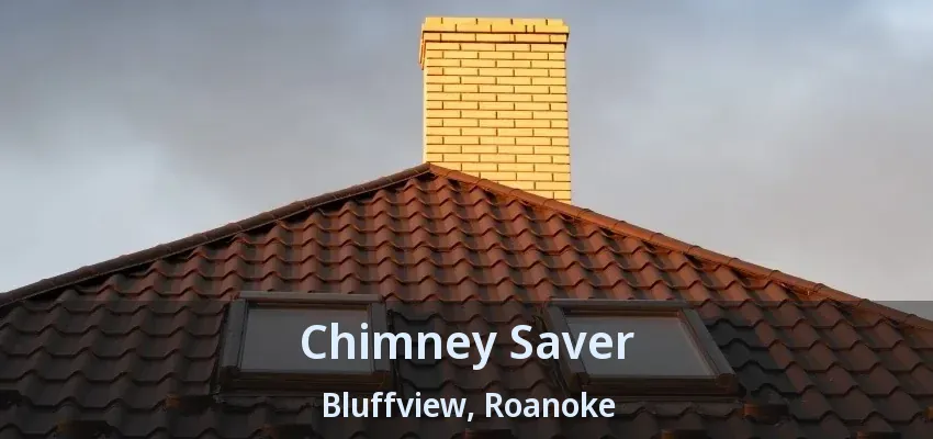 Chimney Saver Bluffview, Roanoke - TX