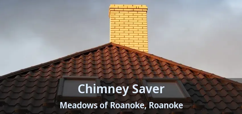 Chimney Saver Meadows of Roanoke, Roanoke - TX