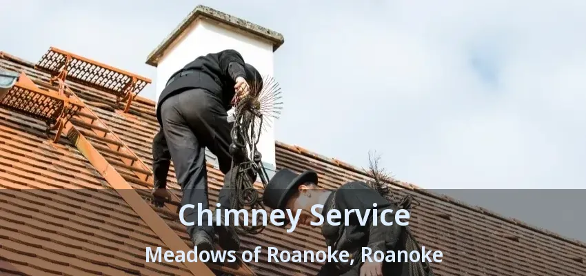 Chimney Service Meadows of Roanoke, Roanoke - TX