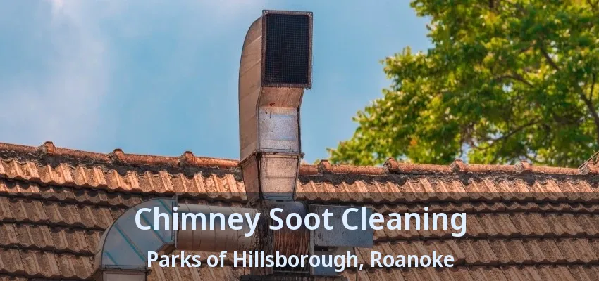 Chimney Soot Cleaning Parks of Hillsborough, Roanoke - TX