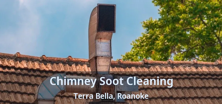 Chimney Soot Cleaning Terra Bella, Roanoke - TX