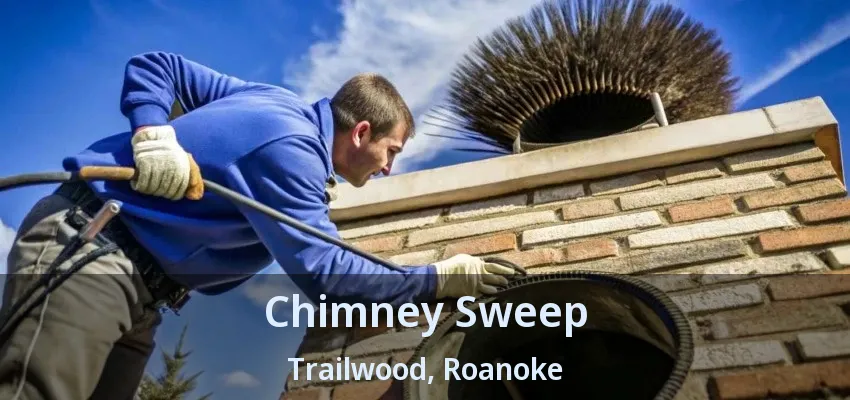 Chimney Sweep Trailwood, Roanoke - TX