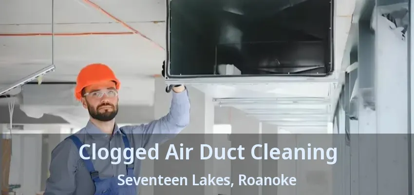 Clogged Air Duct Cleaning Seventeen Lakes, Roanoke - TX
