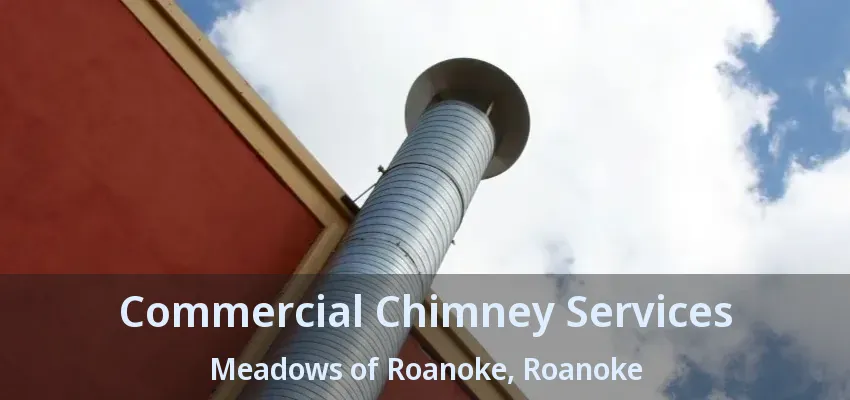 Commercial Chimney Services Meadows of Roanoke, Roanoke - TX
