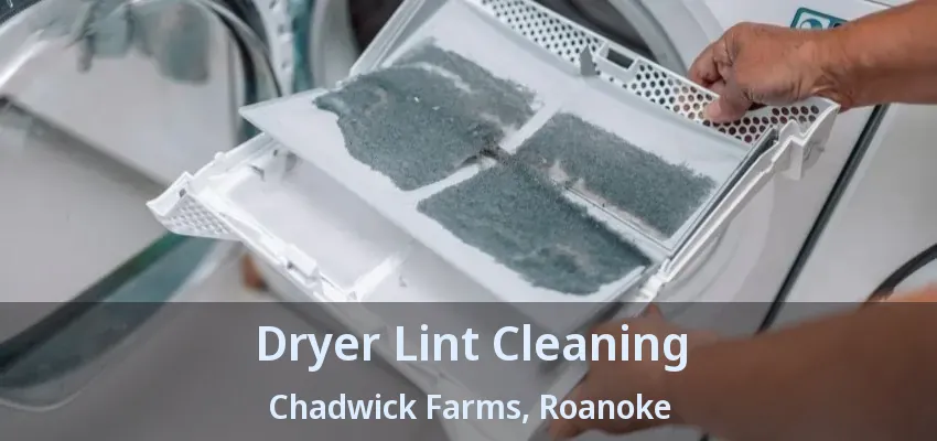 Dryer Lint Cleaning Chadwick Farms, Roanoke - TX