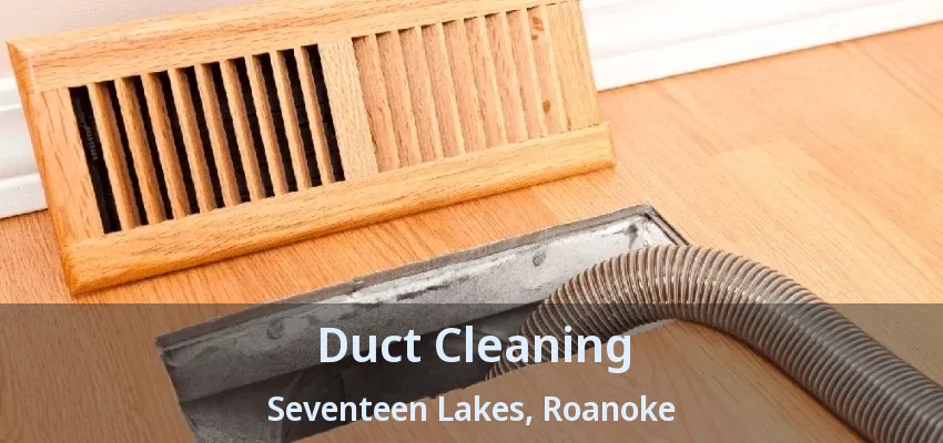 Duct Cleaning Seventeen Lakes, Roanoke - TX