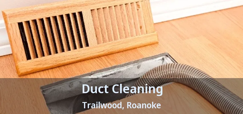 Duct Cleaning Trailwood, Roanoke - TX