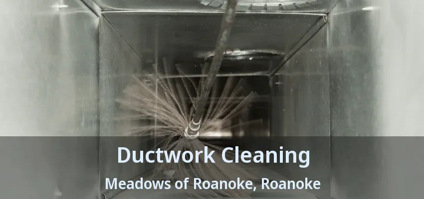Ductwork Cleaning Meadows of Roanoke, Roanoke - TX