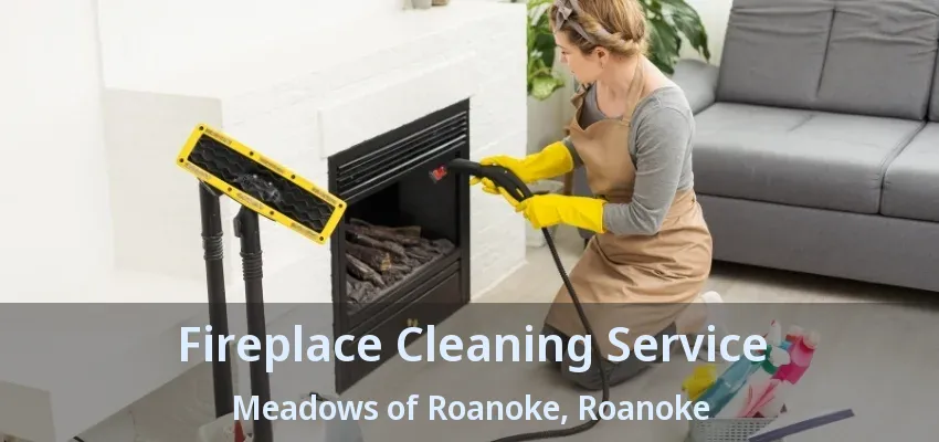 Fireplace Cleaning Service Meadows of Roanoke, Roanoke - TX