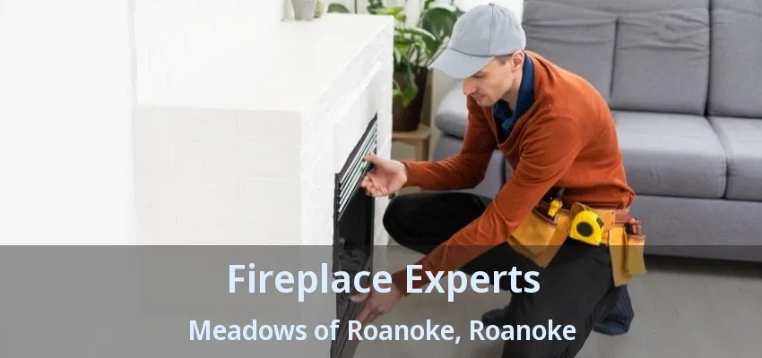 Fireplace Experts Meadows of Roanoke, Roanoke - TX